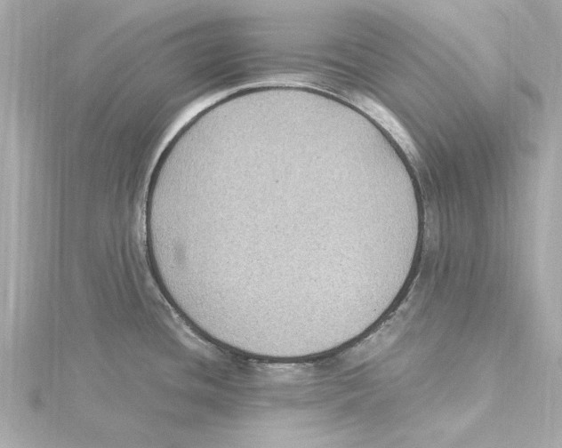 X0000115281436200911271957