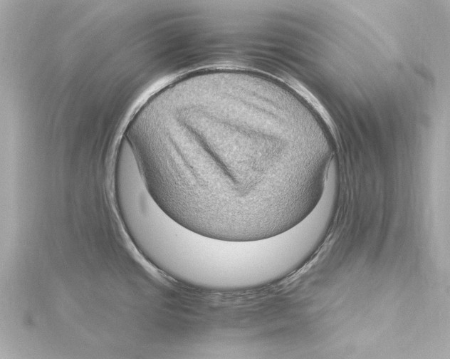 X0000115281437200911271957