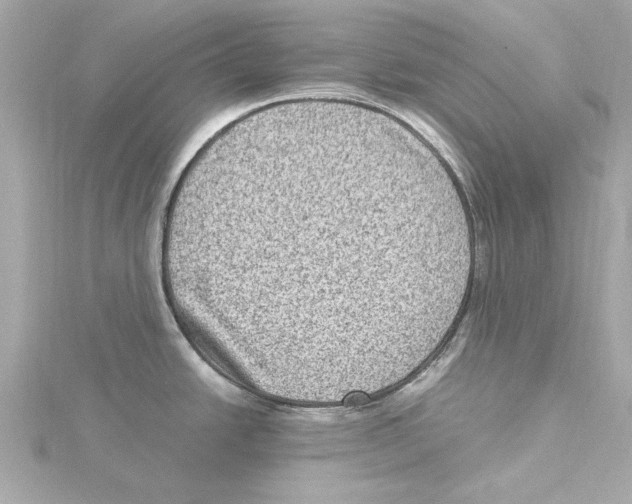 X0000115281438200911271957