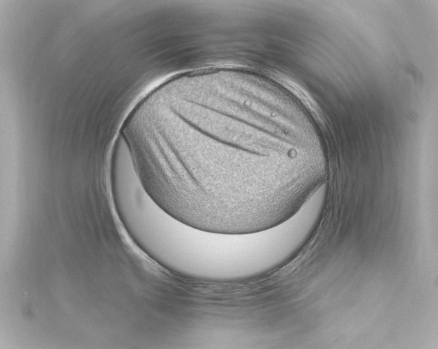 X0000115281439200911271957