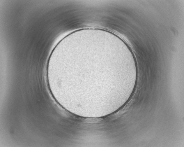 X0000115281440200911271957