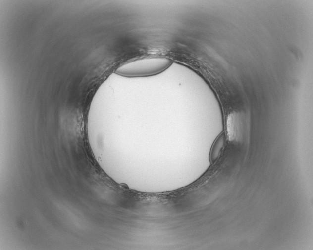 X0000115281443200911271957