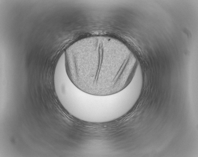 X0000115281444200911271957