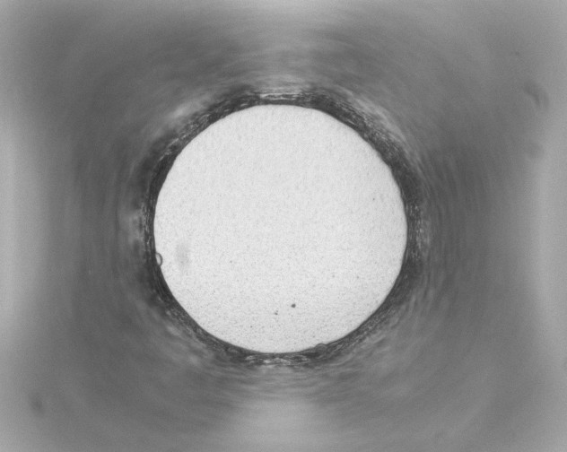 X0000115281445200911271957