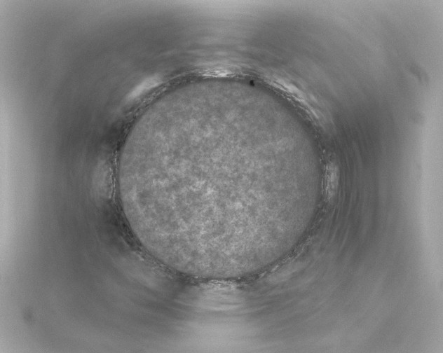 X0000115281446200911271957