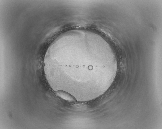 X0000115281447200911271957