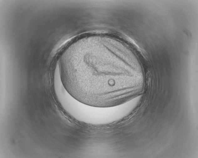 X0000115281448200911271957