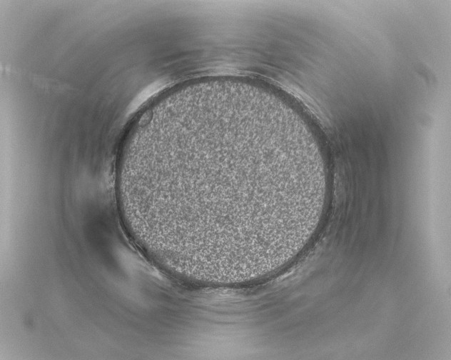 X0000115281450200911271957