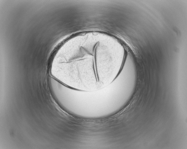 X0000115281452200911271956