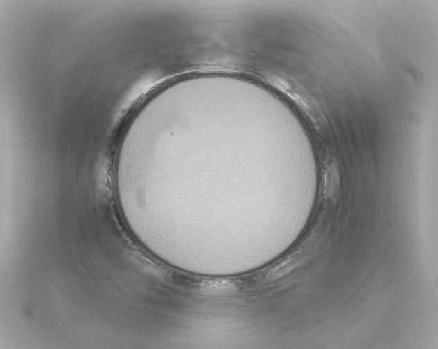 X0000115281454200911271956