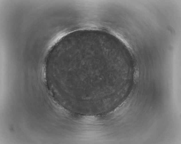 X0000115281455200911271956