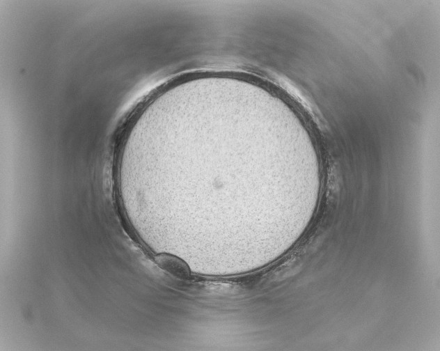 X0000115281456200911271956