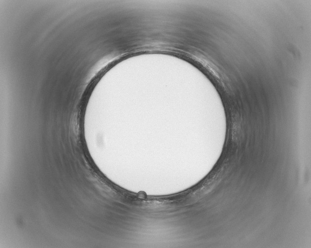 X0000115281458200911271956