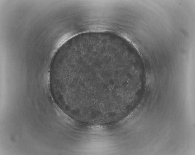 X0000115281459200911271956