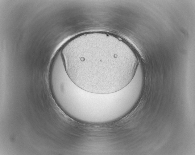 X0000115281460200911271956