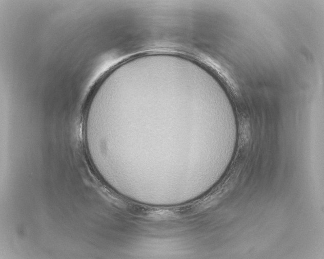 X0000115281462200911271956