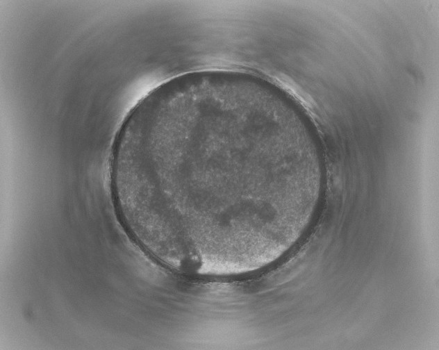 X0000115281463200911271956