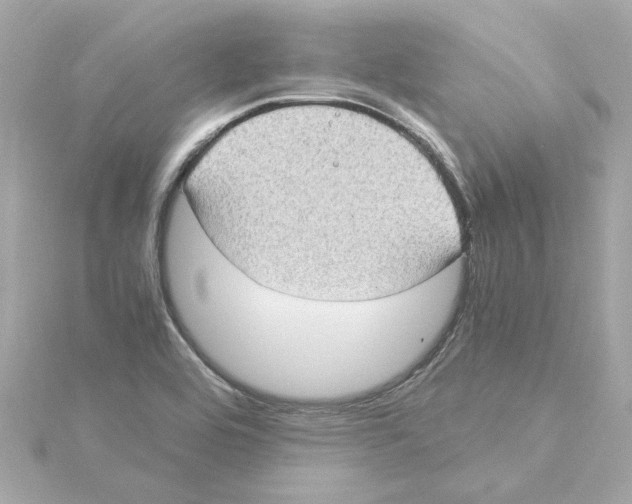 X0000115281464200911271956