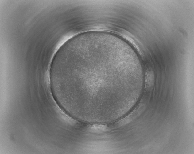 X0000115281466200911271956