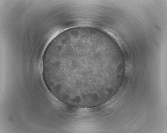 X0000115281467200911271956