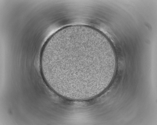 X0000115281469200911271956