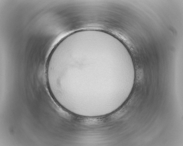 X0000115281470200911271956