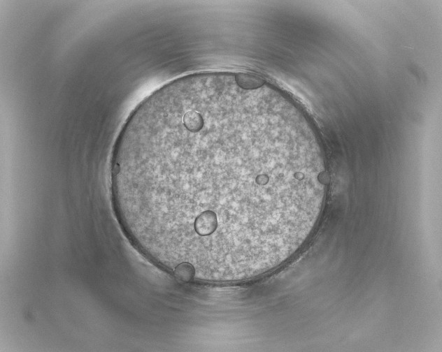 X0000115281471200911271956