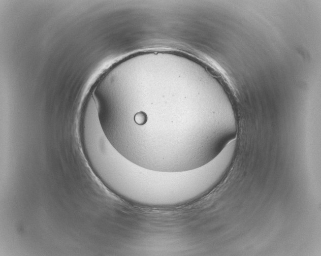 X0000115281472200911271956