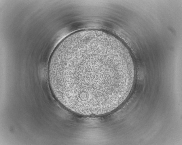 X0000115281473200911271956