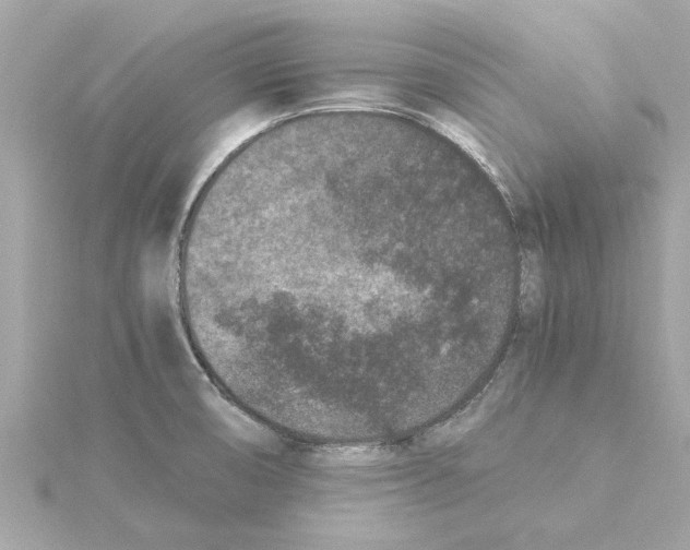 X0000115281474200911271956