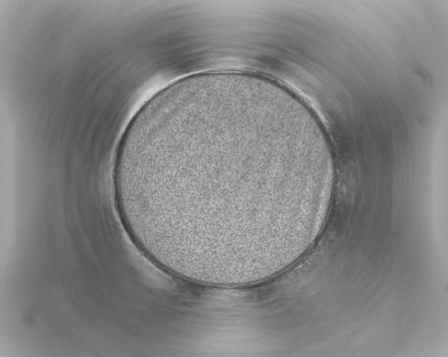 X0000115281475200911271956