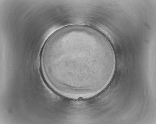 X0000115281479200911271956