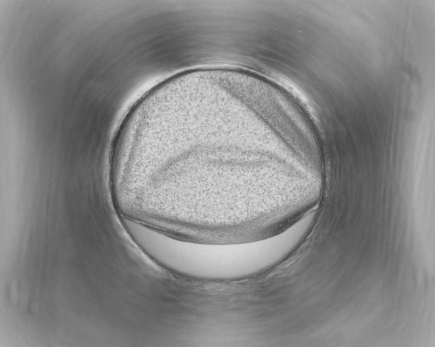 X0000115281480200911271956