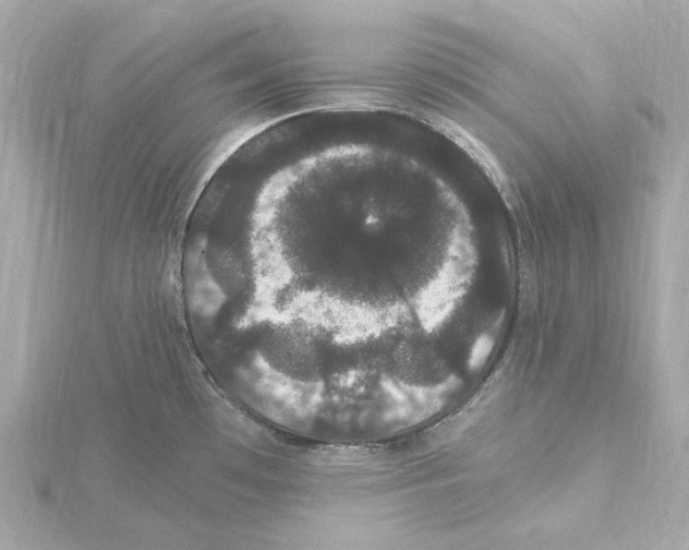 X0000115281481200911271956