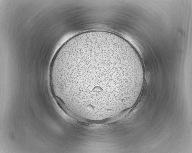 X0000115281482200911271956