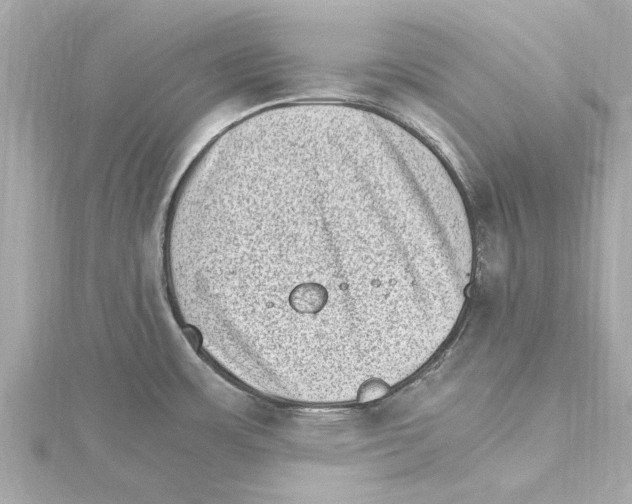 X0000115281483200911271956