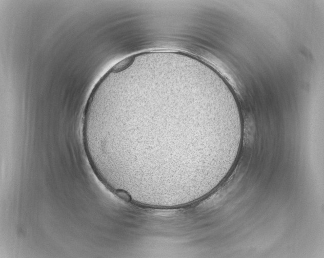 X0000115281484200911271956