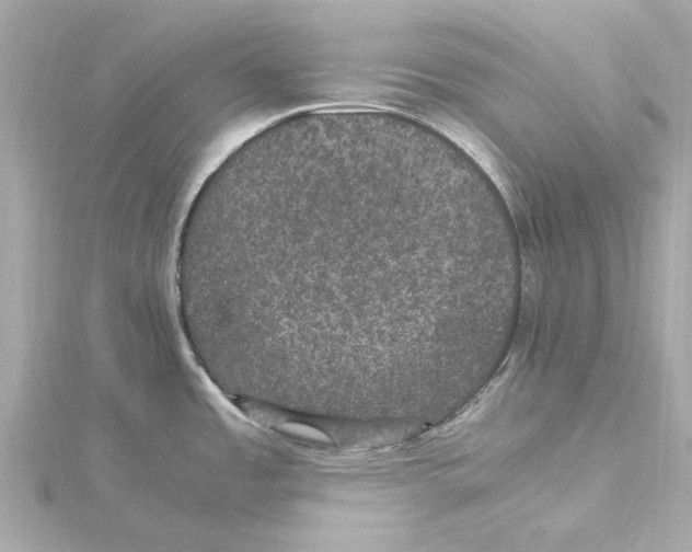 X0000115281485200911271956