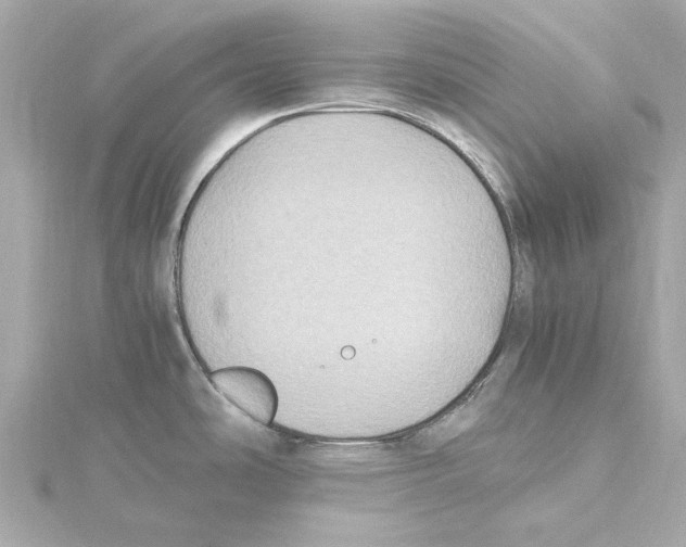 X0000115281486200911271956