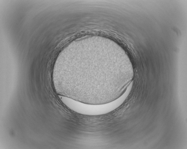 X0000115281489200911271955