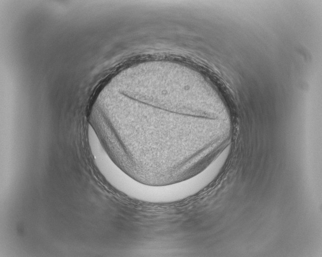 X0000115281493200911271955