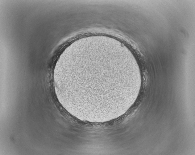 X0000115281494200911271955