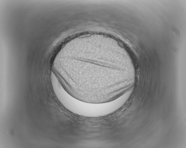 X0000115281495200911271955