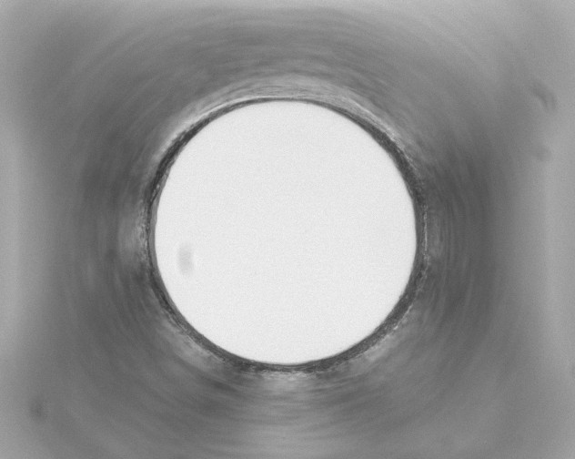 X0000115281498200911271955