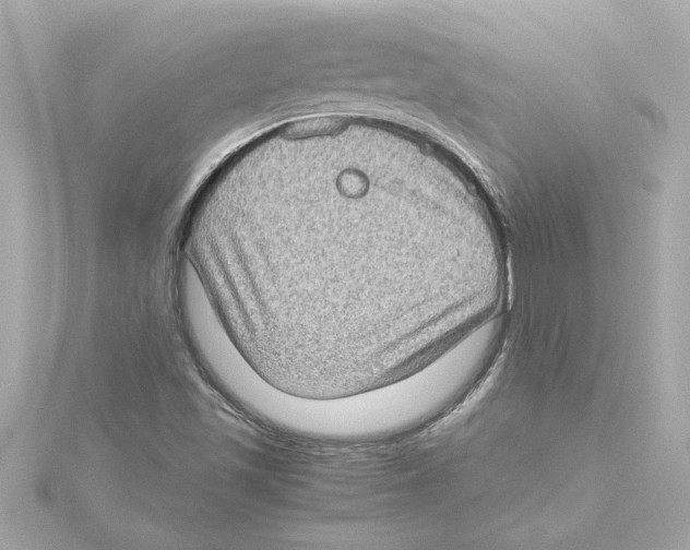 X0000115281501200911271955