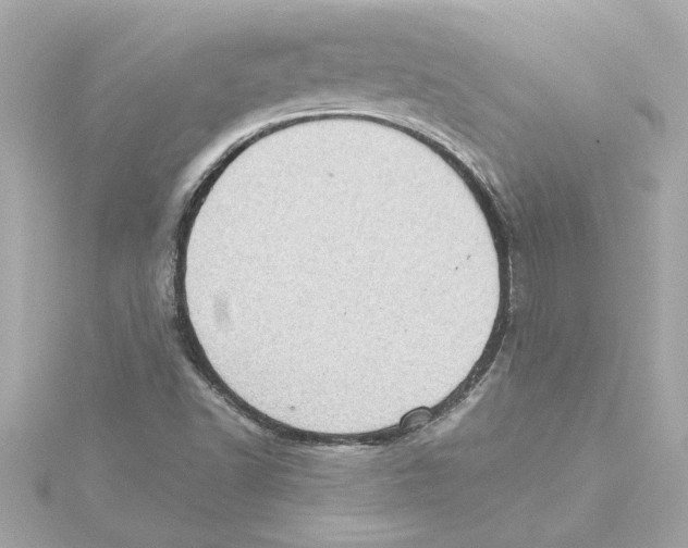 X0000115281502200911271955