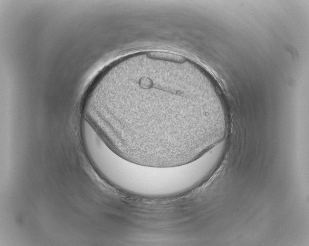 X0000115281503200911271955