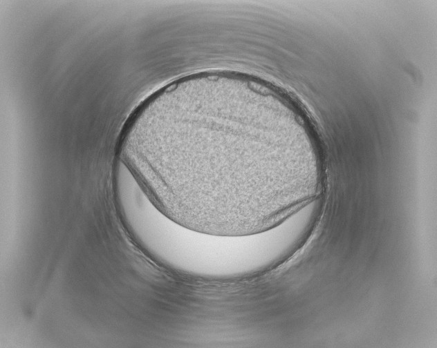 X0000115281505200911271956