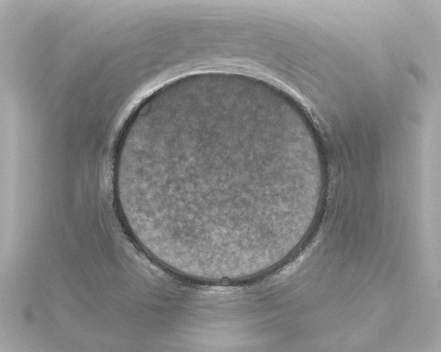 X0000115281506200911271956