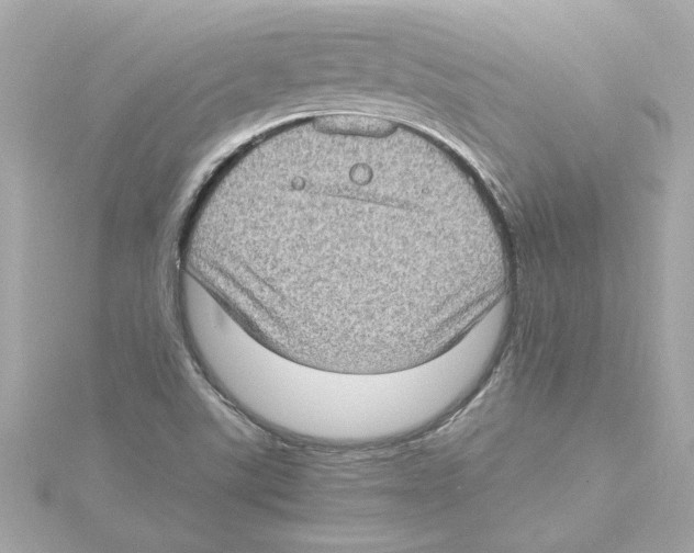 X0000115281507200911271956